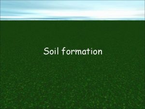 Soil formation Soil horizons Leaf litter Topsoil Subsoil