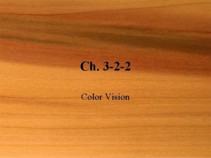 Ch 3 2 2 Color Vision Color Vision