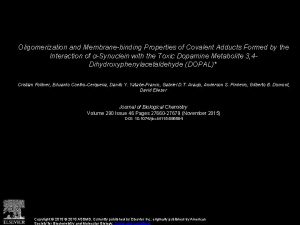 Oligomerization and Membranebinding Properties of Covalent Adducts Formed