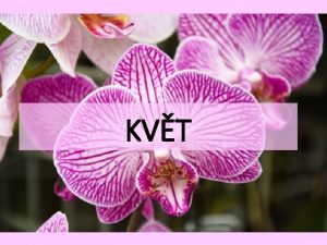 KVT Kvt orgn jen u krytosemennch rostlin vyvinul