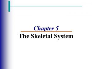 Chapter 5 The Skeletal System The Skeletal System