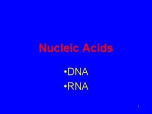 Nucleic Acids DNA RNA 1 Nucleic acids A