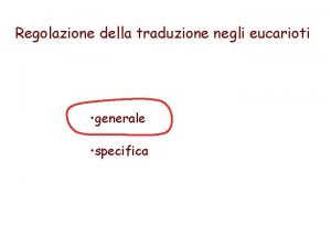 Regolazione della traduzione negli eucarioti generale specifica Initiation