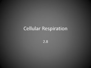 Cellular Respiration 2 8 Cellular Respiration Process cells