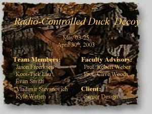 RadioControlled Duck Decoy May 03 25 April 30