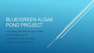 BLUEGREEN ALGAE POND PROJECT Cooperating with KDHEBureau of
