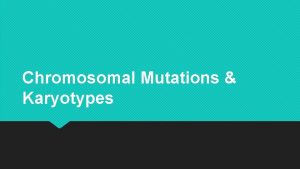 Chromosomal Mutations Karyotypes Chromosomes Sex chromosomes X and