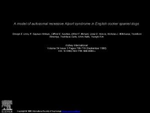 A model of autosomal recessive Alport syndrome in