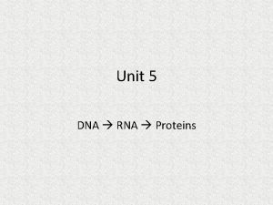 Unit 5 DNA RNA Proteins DNA RNA Proteins