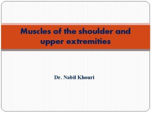 Muscles of the shoulder and upper extremities Dr