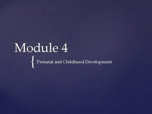 Module 4 Prenatal and Childhood Development Prenatal Development