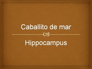 Caballito de mar Hippocampus El cuerpo de los