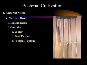 Bacterial Cultivation I Bacterial Media A Nutrient Broth