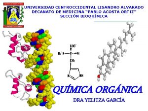 UNIVERSIDAD CENTROCCIDENTAL LISANDRO ALVARADO DECANATO DE MEDICINA PABLO