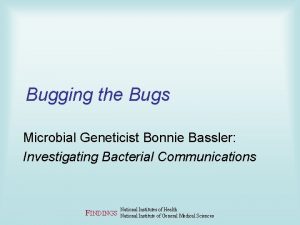 Bugging the Bugs Microbial Geneticist Bonnie Bassler Investigating