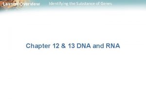 Lesson Overview Identifying the Substance of Genes Chapter