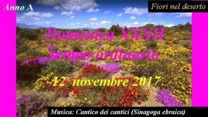 Anno A Fiori nel deserto Domenica XXXII tempo