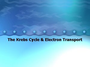 The Krebs Cycle Electron Transport Cellular Respiration Cellular