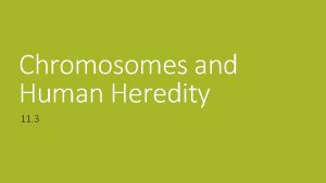 Chromosomes and Human Heredity 11 3 Karyotype studies