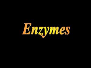 Introduction Enzymes are usually proteins that act as