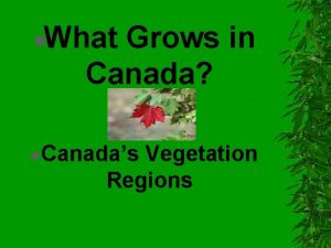 What Grows in Canada Canadas Vegetation Regions Vegetation