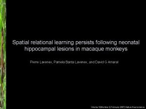 Spatial relational learning persists following neonatal hippocampal lesions