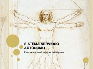 SISTEMA NERVIOSO AUTNOMO Funciones y estructuras principales Sistema