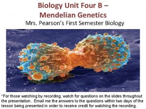 Biology Unit Four B Mendelian Genetics Mrs Pearsons