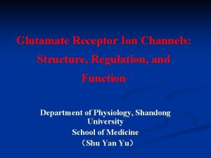 Glutamate Receptor Ion Channels Structure Regulation and Function