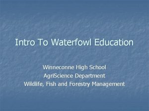 Intro To Waterfowl Education Winneconne High School Agri