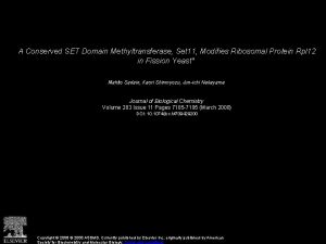 A Conserved SET Domain Methyltransferase Set 11 Modifies