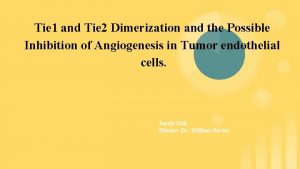 Tie 1 and Tie 2 Dimerization and the