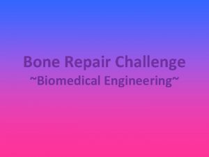 Bone Repair Challenge Biomedical Engineering External Fixation Temporary