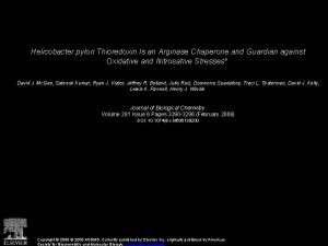 Helicobacter pylori Thioredoxin Is an Arginase Chaperone and