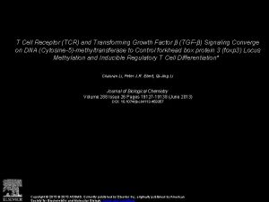 T Cell Receptor TCR and Transforming Growth Factor