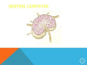 SISTEM LIMFATIK 19 SISTEM LIMFATIK Terdiri atas Pembuluh