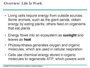Overview Life Is Work Living cells require energy