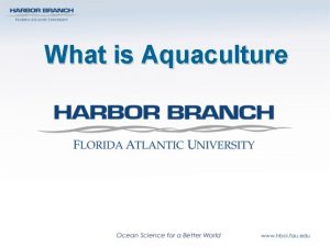 What is Aquaculture Photograph by HBOI Aquaculture is