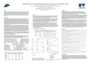 Egg hatching rate of the cyclopoid copepod Oithona