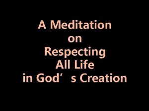 A Meditation on Respecting All Life in Gods