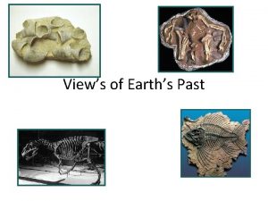 Views of Earths Past Fossils provide important clues