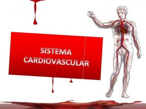 SISTEMA CARDIOVASCULAR SISTEMA CARDIOVASCULAR O sistema que distribui