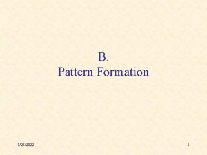 B Pattern Formation 1252022 1 Differentiation Pattern Formation