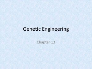 Genetic Engineering Chapter 13 Genetic engineering Making changes