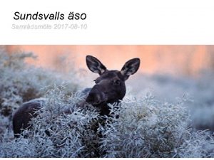 Sundsvalls so Samrdsmte 2017 08 10 Styrgrupp Sundsvalls