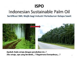 ISPO Indonesian Sustainable Palm Oil Sertifikasi SML Wajib