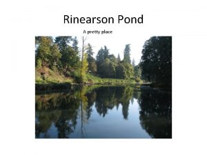 Rinearson Pond A pretty place This pretty place