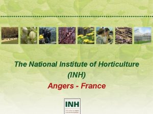 The National Institute of Horticulture INH Angers France