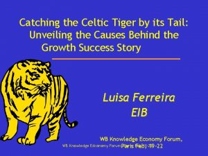 Catching the Celtic Tiger by its Tail Unveiling