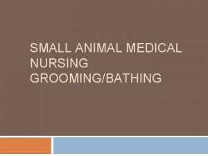 SMALL ANIMAL MEDICAL NURSING GROOMINGBATHING Grooming and medicated